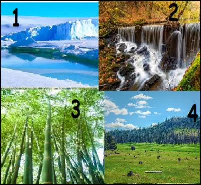 Sur cette image, dans quel paysage pourrais-tu vivre ?