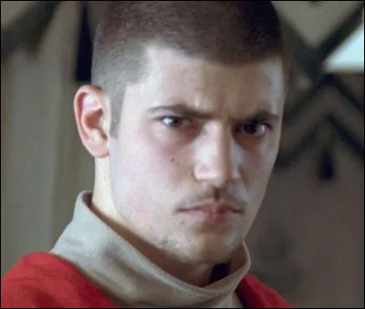 Qui interprète Viktor Krum ?