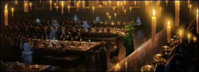 Au fur et à mesure du temps, tu sens que de la cérémonie du Choixpeau va bientôt commencer car tu aperçois une femme se nommant McGonagall (qui a l'air très sérieuse d'ailleurs...) qui vous fait signe de vous approcher.
Elle vous dicte quelques conseils et consignes puis ouvres une grande porte où se trouvent tous les étudiants de Poudlard.
Comment te sens-tu ?