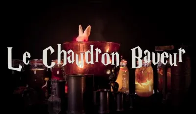 Les présentations faites, tu acceptes quand même d'y aller. Hagrid te fait entrer dans une sorte de bar, qui se nomme le : "Chaudron Baveur ".
Quelle est ta réaction ?