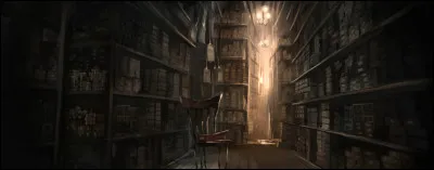 N'arrivant pas à te décider, vous choisissez ensemble. C'est finalement la boutique d'Ollivander qui remporte.
En entrant, Ollivander te demanda quel genre de baguette tu penses avoir.
Qu'imagines-tu dans ta tête ?