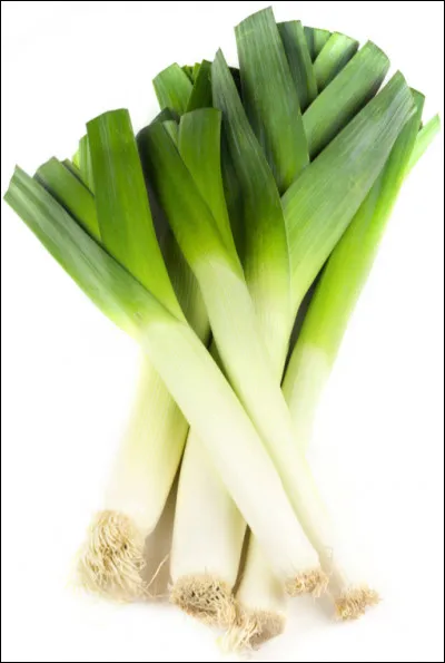 Comment dit-on "poireau" en anglais ?