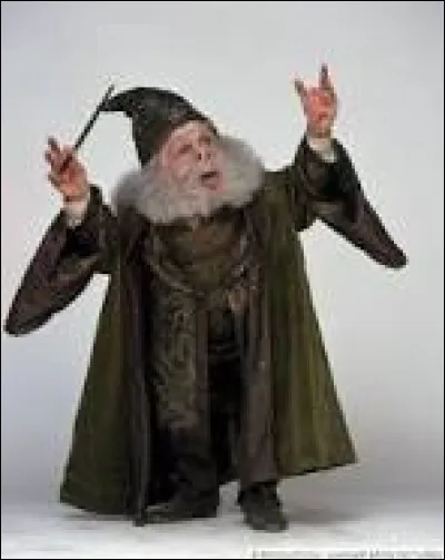 Top 5 : Flitwick
Quelle matière enseigne-t-il ?