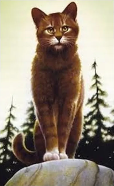 Si tu trouves un chat domestique sur ton territoire, que ferais-tu ?