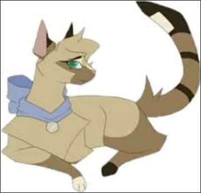 Es-tu une fille ou un gar&ccedil;on ?