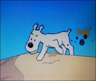 En creusant que découvre Milou ?