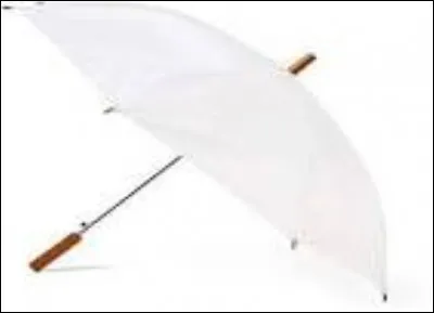 De quelle couleur est le parapluie du professeur ?