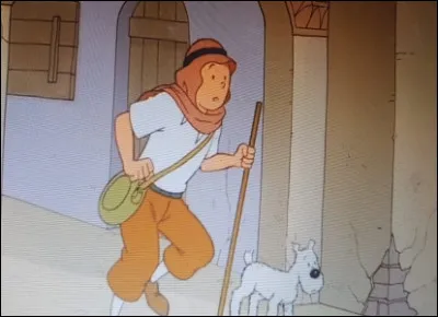 Tintin se retrouve au cur du désert, il aperçoit un village.
Que se passe-t-il ?