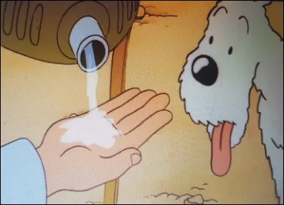 Lorsque Tintin donne à boire à Milou que se passe-t-il ?