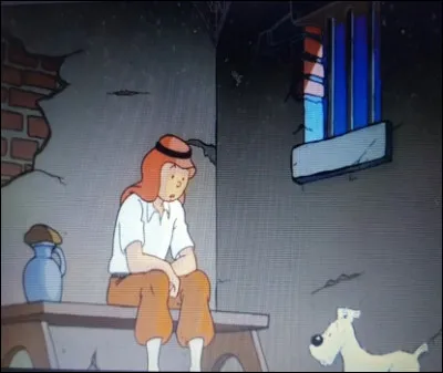 Pourquoi Tintin se retrouve-t-il dans une cellule ?