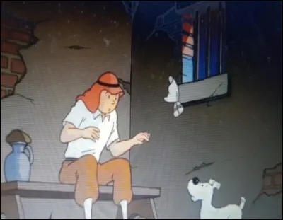 Tintin reçoit un projectile mais qui est responsable ?