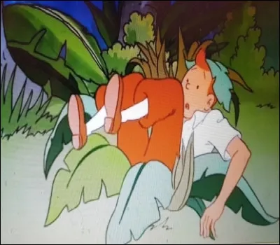 Lorsque l'avion s'écrase, quelque chose lui tombe sur la tête.
Qu'est-ce que cela peut-être ?