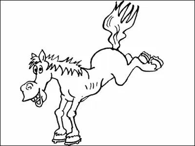 Si tu as un poney qui est un peu foufou, tu...