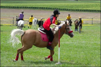 Quand tu apprends que tu vas faire un cours de pony games alors que tu voulais absolument faire du dressage, tu...