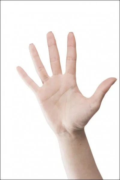 Aurais-tu peur si jamais de grosses mains s'approchaient pour te déplacer ?