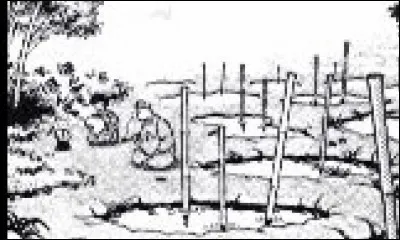 Combien de fois la Nan Niquan' en poudre marche-t-elle ?