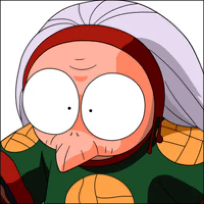 Les maîtres de Shampoo, Soun Tendô et Genma Saotome sont...