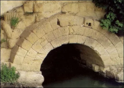 La Cloaca Maxima sont les célèbres égouts de Rome. Par quel roi furent-ils construits ?