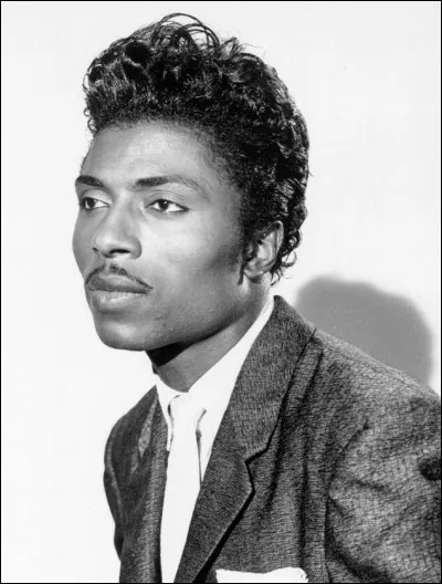 Qui a repris ''Tutti Frutti'' de Little Richard en 1956 ?
