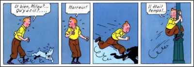 Tintin a beau être courageux, il n'est pas un surhomme : qu'est-ce qui semble l'effrayer à ce point ?