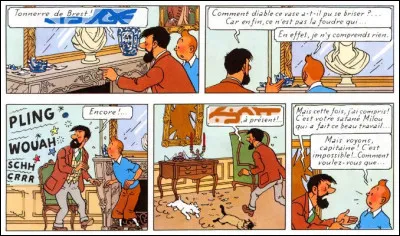 Au début de cette aventure [laquelle ?], Haddock doit déplorer pertes et fracas en sa demeure : un vase et un miroir, pour être précis, mais de quelles origines ?