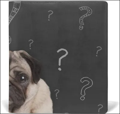 J'apparais au d&eacute;but de la nuit et suis &agrave; la fin du matin. Je suis au fond du jardin. J'apparais deux fois dans l'ann&eacute;e. Que suis-je ?