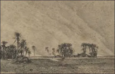 Le simoun est un vent chaud :