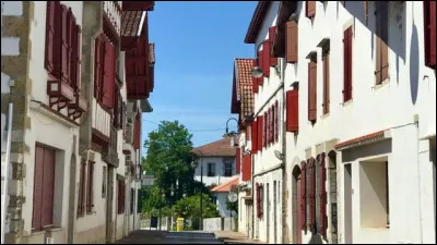 Ville de 6 800 habitants du département des Pyrénées-Atlantiques, traversée par la Nive :