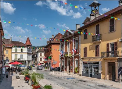 Petite ville de 3 000 habitants du département de la Savoie, située dans la vallée du Rhône, séparée du lac du Bourget par les monts et la dent du Chat :