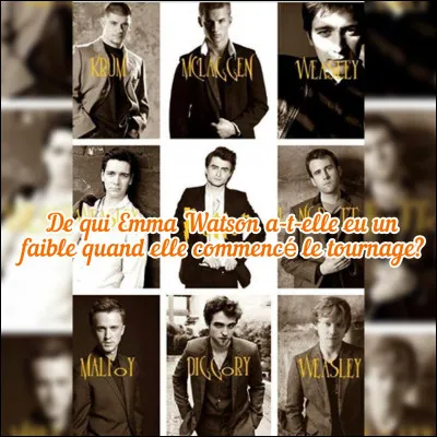 Avec qui Hermione se marie-elle ?