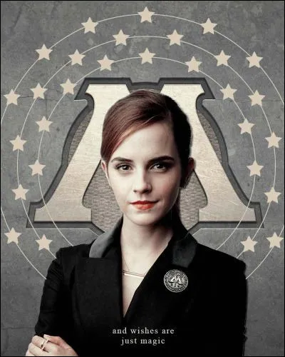Quel est le métier d'Hermione Granger ?