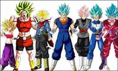 Qui est le quatrième ssj ?