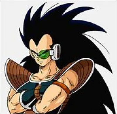 Quel jour est le mois où Raditz a débarqué sur la terre ?