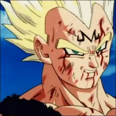 Quand Vegeta s'est sacrifié contre Boo, où s'est-il retrouvé ?