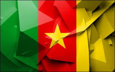 Quel est ce drapeau africain ?