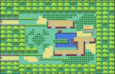 Dans quelle ville se trouve le safari ?