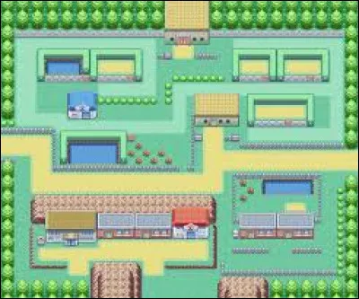 Dans la ville de Parmanie, on y trouve la 5e arène. Quel est le type des Pokémon du champion Koga ?