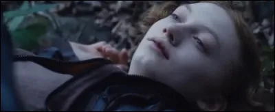 La renarde meurt en mangeant des baies sauvages dans le(s) ...