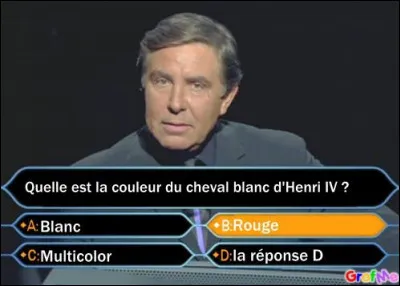 De quelle couleur était le cheval blanc d'Henri IV ?