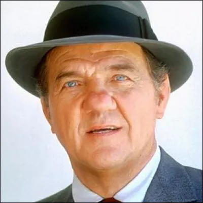 Karl Malden est un artiste américain né en 1912 et mort en 2009. Dans quelle série joua-t-il aux côtés de Michael Douglas ?
Indice : c'est une maison bleue accrochée à ma mémoire...
