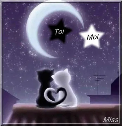 Tu es un guerrier et ta compagne meurt. Que fais-tu ?