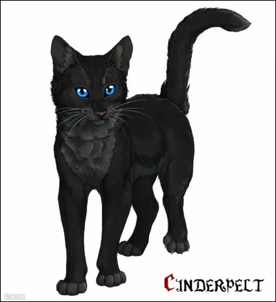 Tu es un chaton domestique et tu rêves de devenir un chat de clan. Que fais-tu ?