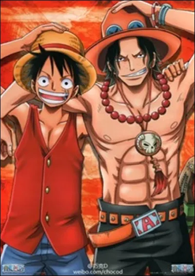 Dès que Luffy a rencontré Ace, se sont-ils tout de suite bien entendus ?