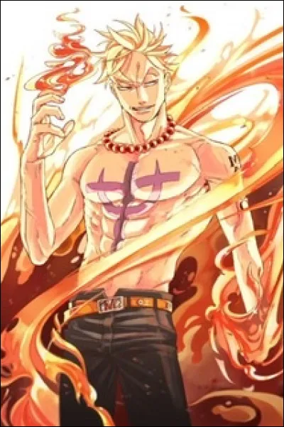 De quelle flotte Marco est-il commandant (équipage Barbe-Blanche) ?