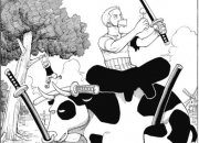 Quiz One Piece - Chapitre 9 - Une fille diabolique