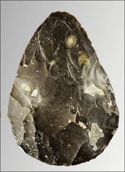 Une équipe d'anthropologues a découvert sur le site ardéchois néandertalien de l'abri du Maras, dans une strate datée entre -41000 et -52000 ans un fragment de...