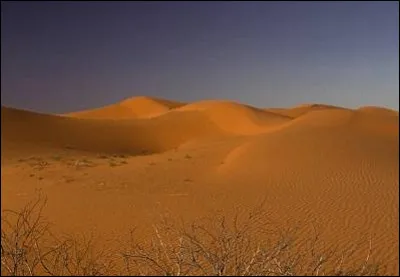Où se trouve le désert de Tanami (184 000 km²) ?