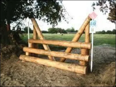 Quel est cet obstacle ?