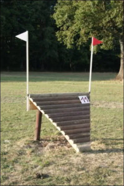 Quel est cet obstacle ?