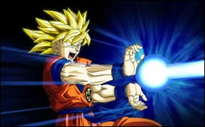 Quel manga est très connu pour son kaméhaméha ?